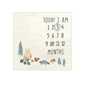 Modern Moments by Gerber Muslin Milestone Blanket with Felt Month Marker Frame