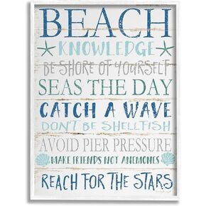 Stupell Industries cwp-367 Beach Knowledge Blue Aqua Planked Look Sign Wall Art, 11 x 14, White Framed