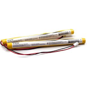 (2-Pack) 4.8V 800mAh Ni-Cd Battery Pack Replacement for Dantona Custom-200, Evenlite B310011, BGN800-4AWP-B830EC, Battery Guy 19537