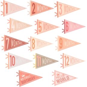 14PCS Baby Monthly Stage,Baby Felt Pennant Stage Signs Monthly,Felt Pennant Flags for Baby Girl & Boy,Month Signs for Newborn Photos and First Year Birthday Baby Shower Decor