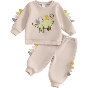 Toddler Baby Girl Boys Fall Outfits Dinosaur Embroidery Long Sleeve Animal Style Sweatshirts Top Pants Clothes Set