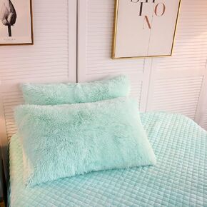 LIFEREVO 2 Pack Faux Fur Pillow Shams,Shaggy Plush Home Decorative Luxury Series Super Soft Furry Pillow Case with Zipper Closure for Home Sofa Couch Decoration,Standard (Mint,20"x26")