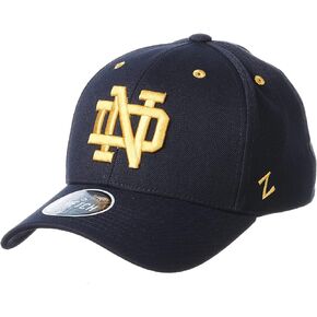 Zephyr Men's Stretch Fitted Hat Team Color