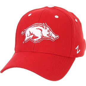 NCAA Zephyr Men's ZH Stretch Fit Hat