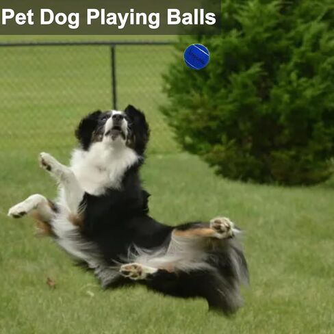 كرة تنس، 18 حزمة من كرات التنس للتدريب المتقدم، كرات تنس للكلاب، كرات لعب للكلاب الأليفة، كرات تنس للمبتدئين تأتي مع حقيبة كرات، ترتد بشدة، قابلة للثني in Kuwait