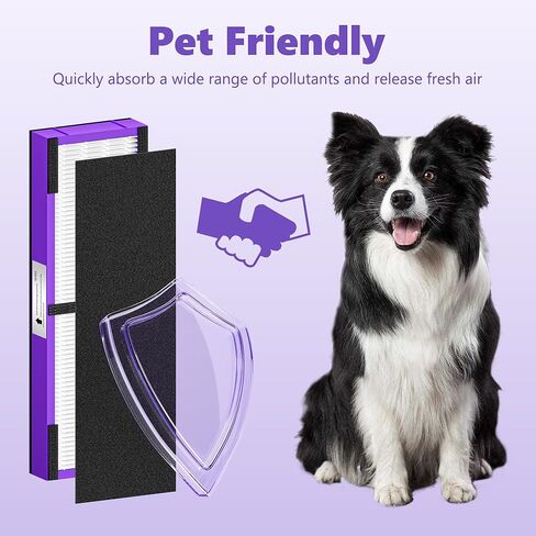 تحسن FLT4850PT HEPA استبدال مرشح B PET متوافق مع G-Guardian Purifier AC4850 ، AC4825 ، AC4300 ، AC4870 ، AC4900 ، CDAP4500 ، AC4300 ، AP2200 ، 2x Filter True HEPA+ 8x قبل الإخلاص المسبق in Kuwait