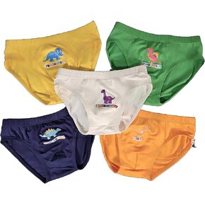 Boys’ Underwear Breathable Bamboo Viscose/Spandex Briefs (5pc Pack) - Printed