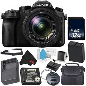 PANASONIC LUMIX DMC-FZ2500 4K Point and Shoot Camera w/20X Leica DC Vario-ELMARIT F2.8-4.5 Lens Bundle