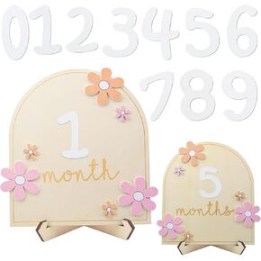 1 Set Baby Monthly Milestone Cards with 10 Interchangeable Numbers and Stands, Daisy Flower Milestone Sign Wooden Plaque Block Newborn Photo Props for Baby's Growth Journey Recording