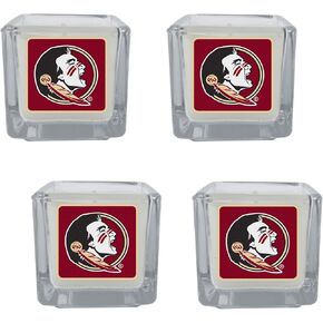 Siskiyou Sports NCAA Michigan State Spartans Scented Candles, 4 pk One Size, Team Colors