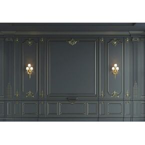 Haoyiyi 7x5ft Interior Wall Backdrop Indoor Empty Room Baroque Black Vintage Elegant European Photography Background Photo Business Office Bedroom Living Room Photo Portrait Studio Prop