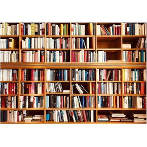 YYNXSY 7X5FT Bookshelf Backdrop Window Backdrops for Photography Backdrop Picture Vinyl backdrops for Photography Wedding Backgrounds for Photography Photo Studio Decoration Background YY-1001