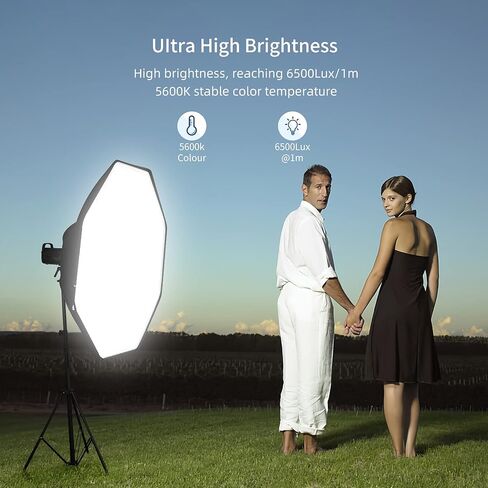 Neewer 60W LED Video Light White 5600K الإصدار الإضاءة المستمرة ، CRI 95+مع التحكم عن بعد ، Mount Bowens لتسجيل الفيديو ، التصوير الفوتوغرافي ، التصوير في الهواء الطلق in Saudi Arabia