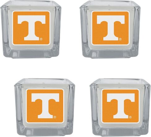 Siskiyou Sports NCAA Florida State Seminoles Scented Candles, 4 pk One Size, Team Colors in Saudi Arabia