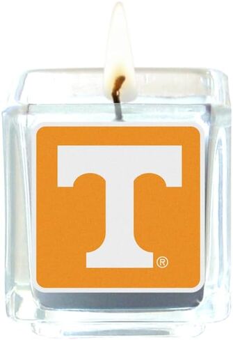 Siskiyou Sports NCAA Florida State Seminoles Scented Candles, 4 pk One Size, Team Colors in Saudi Arabia