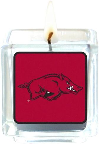 Siskiyou Sports NCAA Florida State Seminoles Scented Candles, 4 pk One Size, Team Colors in Saudi Arabia