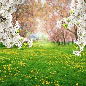AOFOTO 10x10ft Spring Scenic Backdrop Sweet Flowers Photography Background Meadow Floral Blossoms Garden Florets Grassland Park Trees Kid Baby Portrait Photo Shoot Studio Props Video Wallpaper Drape