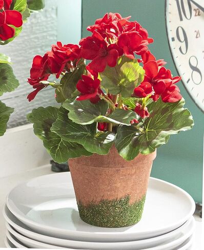 إبرة الراعي الحمراء بطول 9 بوصة - زهور صناعية بأوراق مربوطة بالطحالب in Kuwait