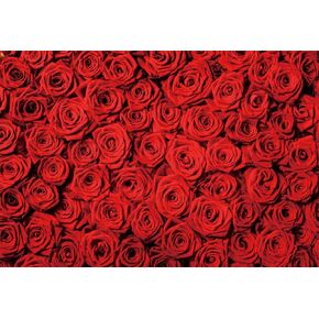 Laeacco 10x8ft Red Rose Backdrop Floral Rose Wall Background Rose Flowers Bridal Shower Party Banner Wedding Photo Studio Sweet Girl Birthday Party Backdrop Valentine's Day Mother's Day Backdrop