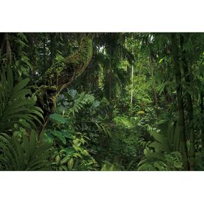 5x3ft Jungle Forest Photography Backdrop for Outdoorsy Camping Theme Party Background Spring Mysterious Rainforest Jungle Forest Tree Natural Scenery Kids Adult Wedding Photo Studio Props
