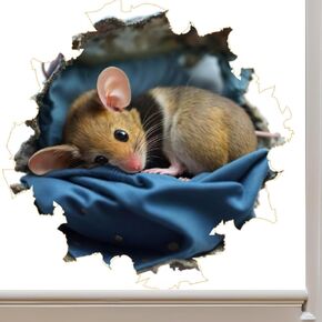 Sleeping Mouse in Mouse Hole Decal - Mouse Hole 3D Wall Sticker
