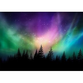 7x5 FT Colorful Northern Lights Backdrop Canadian Forest Aurora Borealis Night Sky Photography Background Pine Forest Northern Lights Wall Art Backdrop Home Decor Photo Booth Studio Props