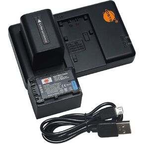 DSTE 2-Pack NP-FV70 Battery + Rapid Dual Charger Compatible with Sony FDR-AX700 PXW-Z90V HXR-NX80 HDR-CX455 CX675 CX330 CX900 PJ340 PJ54 PJ670B PJ810 FDR-AX53 FDR-AX10 NEX-VG10 VG900
