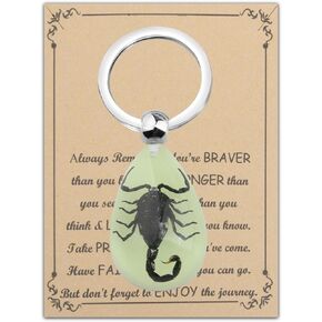 BNQL Real Scorpion Keychain Gifts Resin Scorpion Pendant With Real Scorpion Specimen Glow in the Dark Scorpion Resin Key Ring