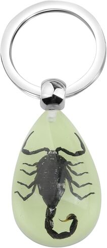 BNQL سلسلة مفاتيح العقرب الحقيقي هدايا الراتنج العقرب قلادة مع عينة العقرب الحقيقي توهج في الظلام العقرب الراتنج حلقة رئيسية in Kuwait