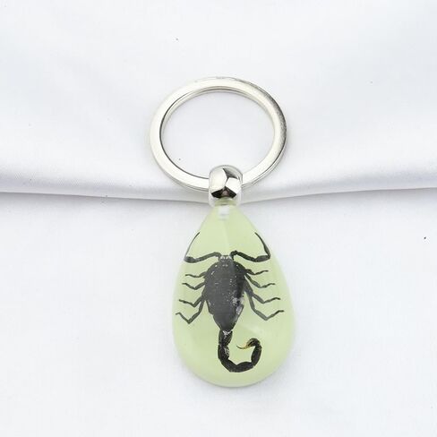 BNQL سلسلة مفاتيح العقرب الحقيقي هدايا الراتنج العقرب قلادة مع عينة العقرب الحقيقي توهج في الظلام العقرب الراتنج حلقة رئيسية in Kuwait
