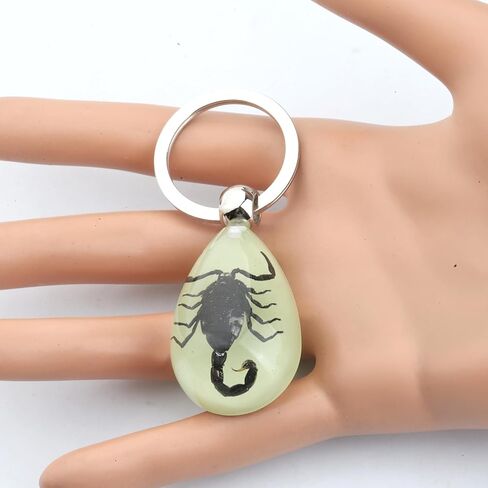 BNQL سلسلة مفاتيح العقرب الحقيقي هدايا الراتنج العقرب قلادة مع عينة العقرب الحقيقي توهج في الظلام العقرب الراتنج حلقة رئيسية in Kuwait