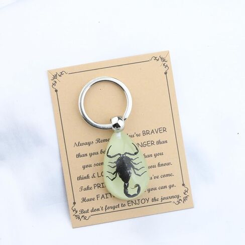 BNQL سلسلة مفاتيح العقرب الحقيقي هدايا الراتنج العقرب قلادة مع عينة العقرب الحقيقي توهج في الظلام العقرب الراتنج حلقة رئيسية in Kuwait