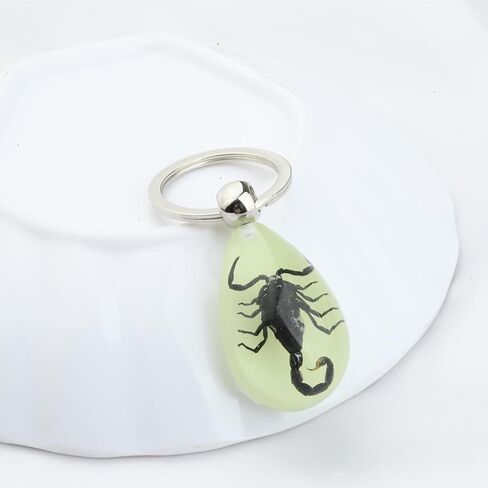 BNQL سلسلة مفاتيح العقرب الحقيقي هدايا الراتنج العقرب قلادة مع عينة العقرب الحقيقي توهج في الظلام العقرب الراتنج حلقة رئيسية in Kuwait