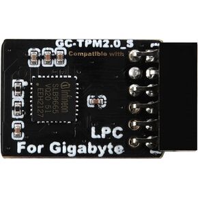 TPM2.0 Module LPC 12Pin Module with Infineon SLB9665 for Gigabyte Motherboard Compatible with GC-TPM2.0_S