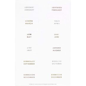 Erin Condren Metallic Monthly Tab Stickers Great for Customizing Tabbed Planners, Organizers, Agendas & Notebooks. 2 Clear Sticker Sheets with 12 Months in Metallic Foil Each (24 Monthly Tab Stickers)