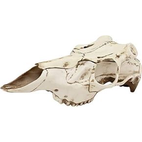 Mountain Mike’s White Skull Master Antler Mounting Kit | Compatible with Harvested and Shed Antlers | Natural Causes Finish (Medium)