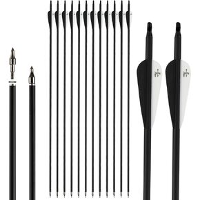 S F 28 30 inch Carbon Arrow Practice Hunting Arrows Spine 500 for Compound & Recurve Bow(Pack of 12)
