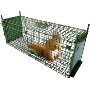 ARIFARO Humane Live Animal Cage Trap (40inch L X 11.6inch W X 12inch H) Double-Door Metal Cage Trap-Capture Cage Designed for Rabbits,Squirrels,Raccoons,Moles,Gophers(Green)