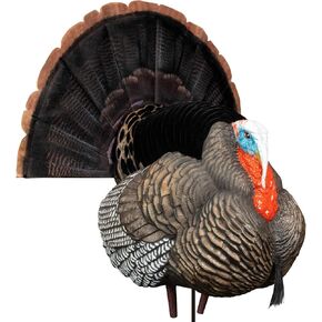 Higdon Outdoors Apex Full Strut Tom Turkey Decoy with Magnetic Removeable Fan for Turkey Hunting