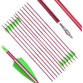 SHARROW 12pcs Archery 32 Inch Aluminum Arrows Spine 500 for Compound Recurve Bow