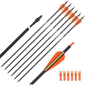 Carbon Arrow Hunting Arrows with 100 Grain Tip and Removable Tips for Archery Compound & Recurve & Traditional Bow Practice Shooting Targeting