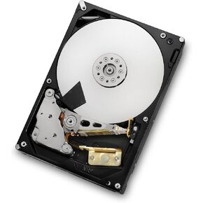 HGST Deskstar 3.5-Inch 4TB 7200 RPM SATA III 6Gbps 64MB Cache Internal Hard Drive (0F14681) (HDS724040ALE640)