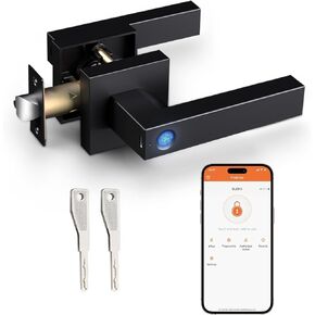 Probrico Smart Lock Keyless Entry Door Lock with Handle, Black Smart Locks for Front Door Fingerprint Door Lock for Bedroom Bathroom, Electronic Biometric Digital WiFi Door Lock APP Control