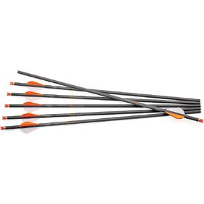 CenterPoint Archery CP400 Select 400-Grain 20-Inch Carbon Arrows AXCCA20TPK, Pack of 6
