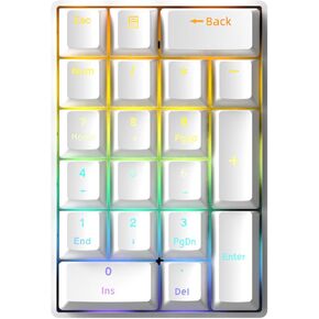 Wired Mechanical Numpad Rainbow LED Backlit 20-Key Number Pad Brown Switches Shine Through Keycaps Detachable Cable Numeric Keyboard for PC/Laptop/Win/Mac, White