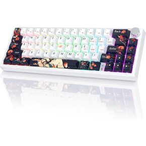 RisoPhy PC425 Wireless Gaming Keyboard, Gasket Mount, RGB Backlight, Volume Knob, 2.4GHz/USB-C/BT5.0, 60% Mechanical Gaming Keyboard for Mac/Win