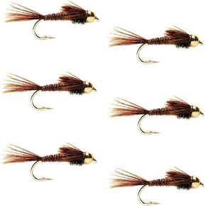The Fly Fishing Place Bead Head Pheasant Tail Nymph Fly Fishing Flies - Trout and Bass Wet Fly Pattern - 6 Flies Hook Size 10