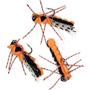 Cicada