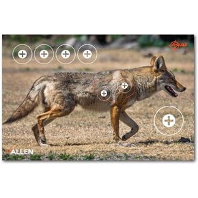 Allen Company EZ Aim Paper Four Color 25 inch x 35 inch Coyote Target by Allen, 2 Pack, Multicolor