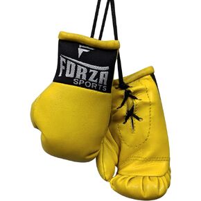 Forza Sports Mini Boxing Gloves